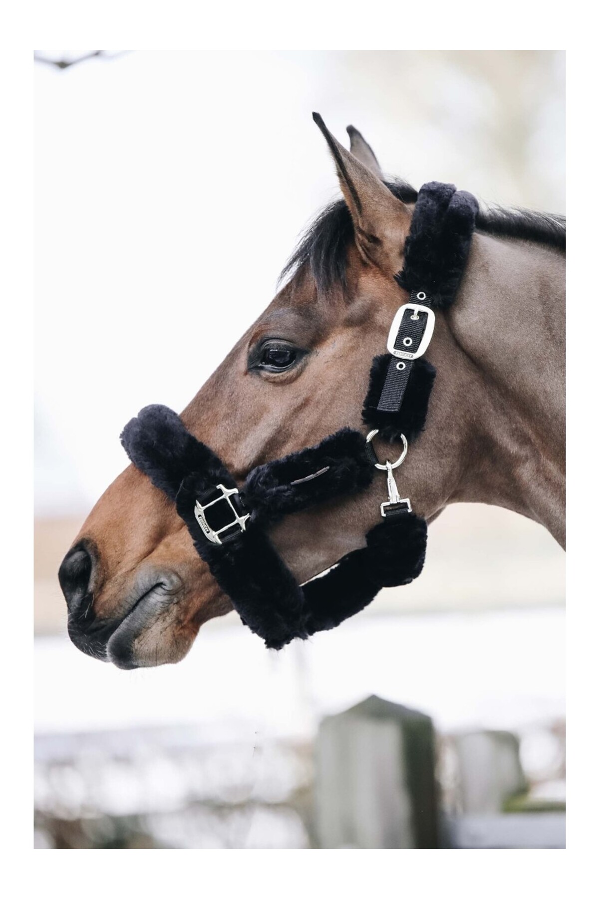 کلهگی حمل اسب KENTUCKY HORSEWEAR با پوشش پوست بره مصنوعی — 2