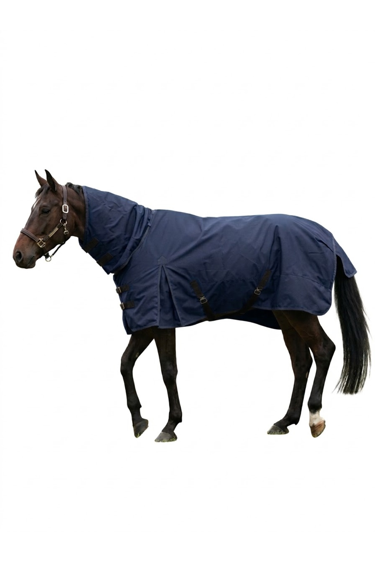پتو اسب فصلی DORAEQUINE مدل LCVDR