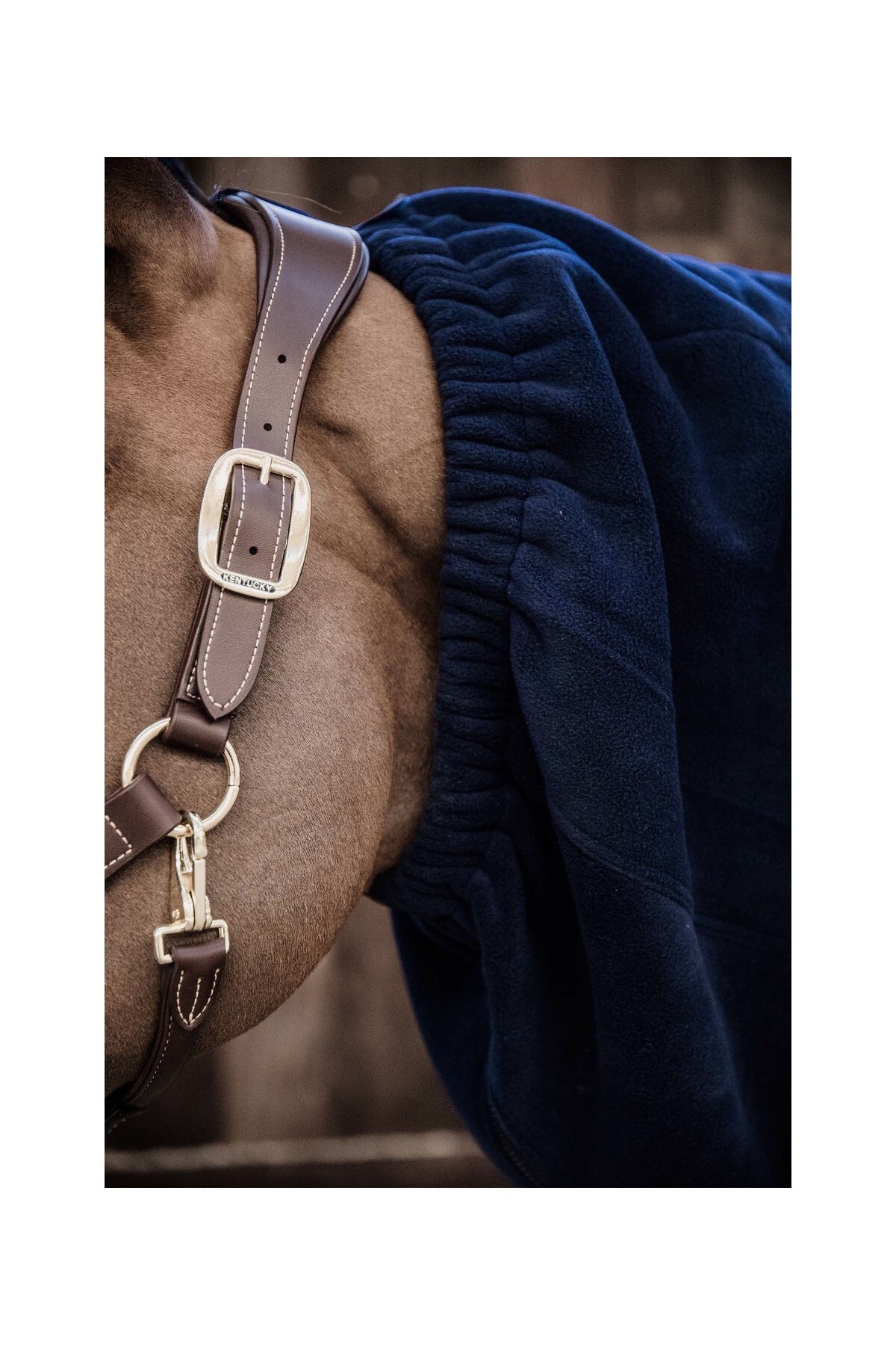 گردن‌پوش تنفس‌پذیر اسب مدل Heavy Fleece — 2