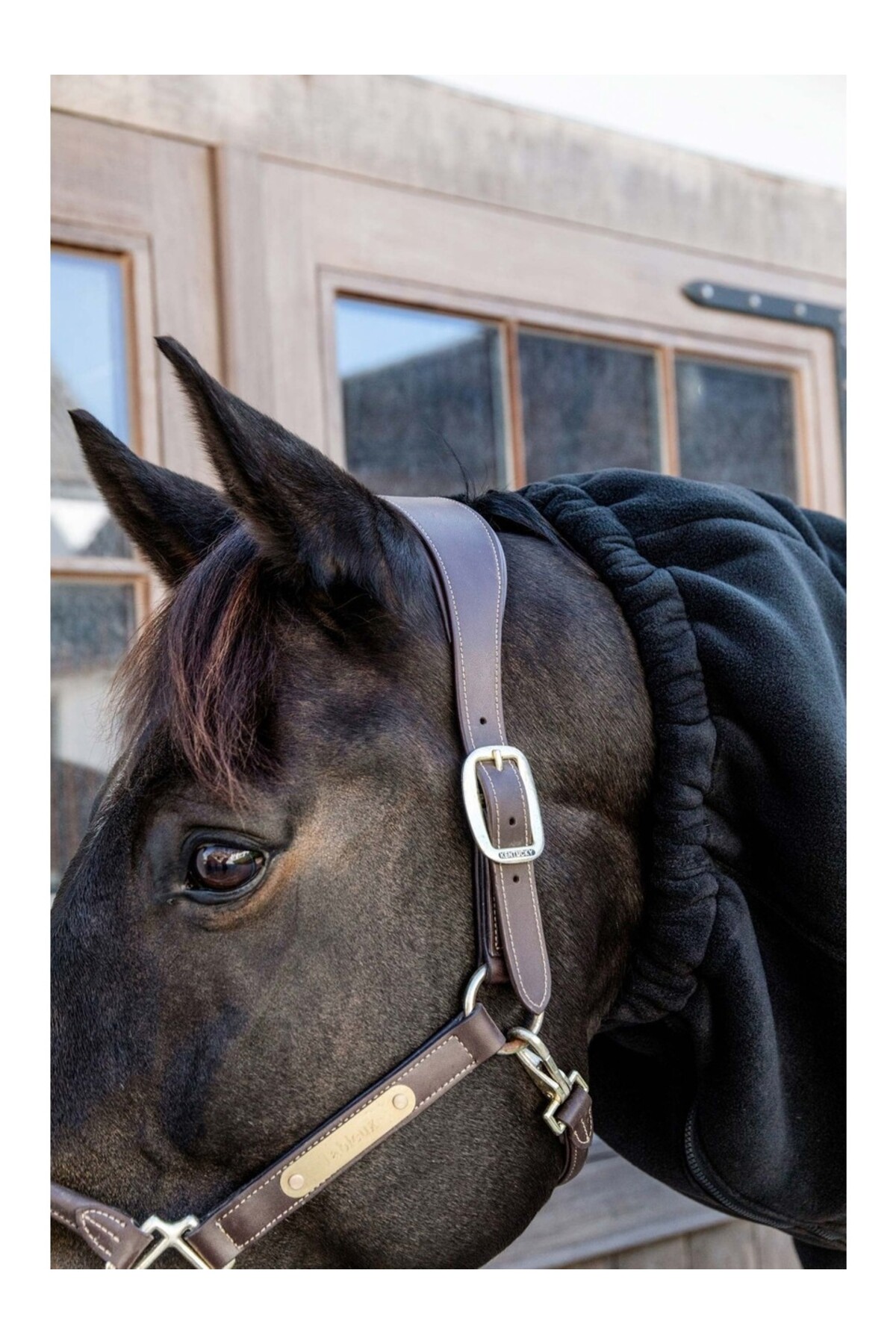 گردنپوش تنفسپذیر اسب مدل Heavy Fleece — 2