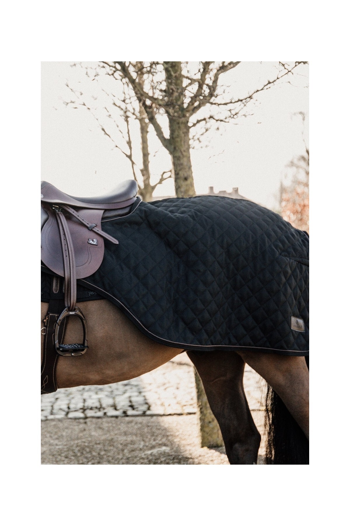 جل تمرینی اسب KENTUCKY HORSEWEAR مشکی M — 2