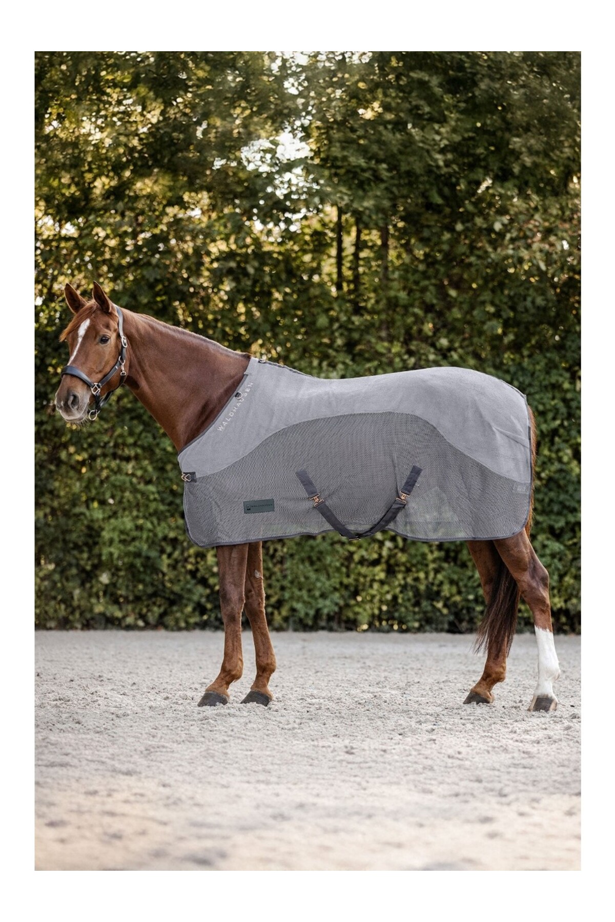 پتو ضد حشره اسب Waldhausen Comfort Fleece