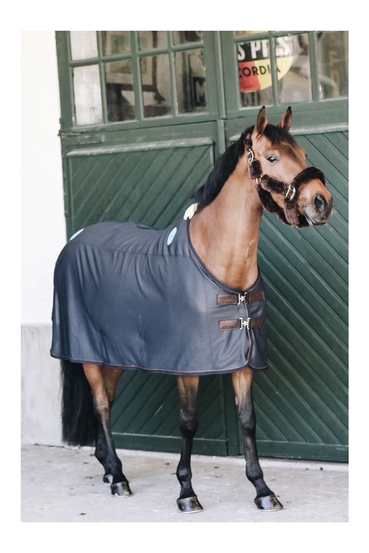 پتو اسب KENTUCKY HORSEWEAR Magnetic Recuptex — 2