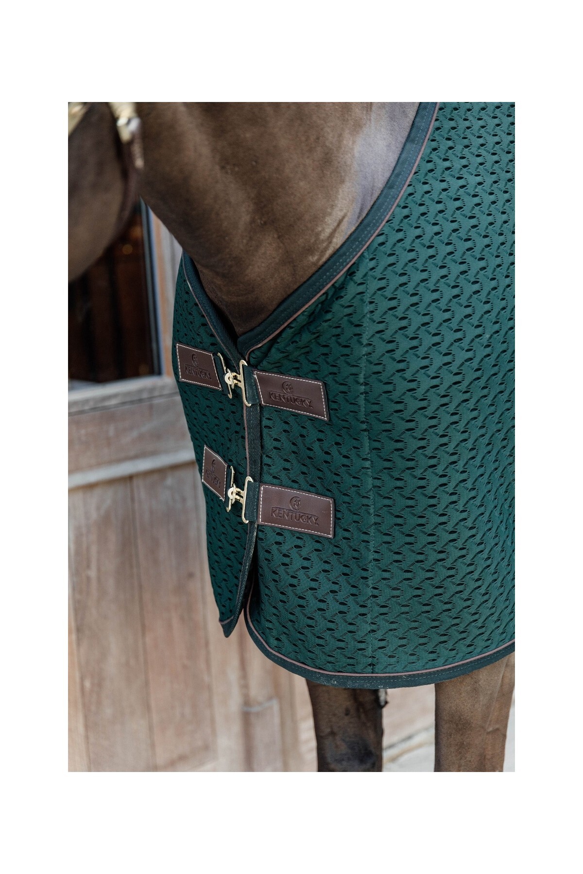 پتو کولر چندمنظوره اسب KENTUCKY HORSEWEAR مدل 4D Spacer — 3