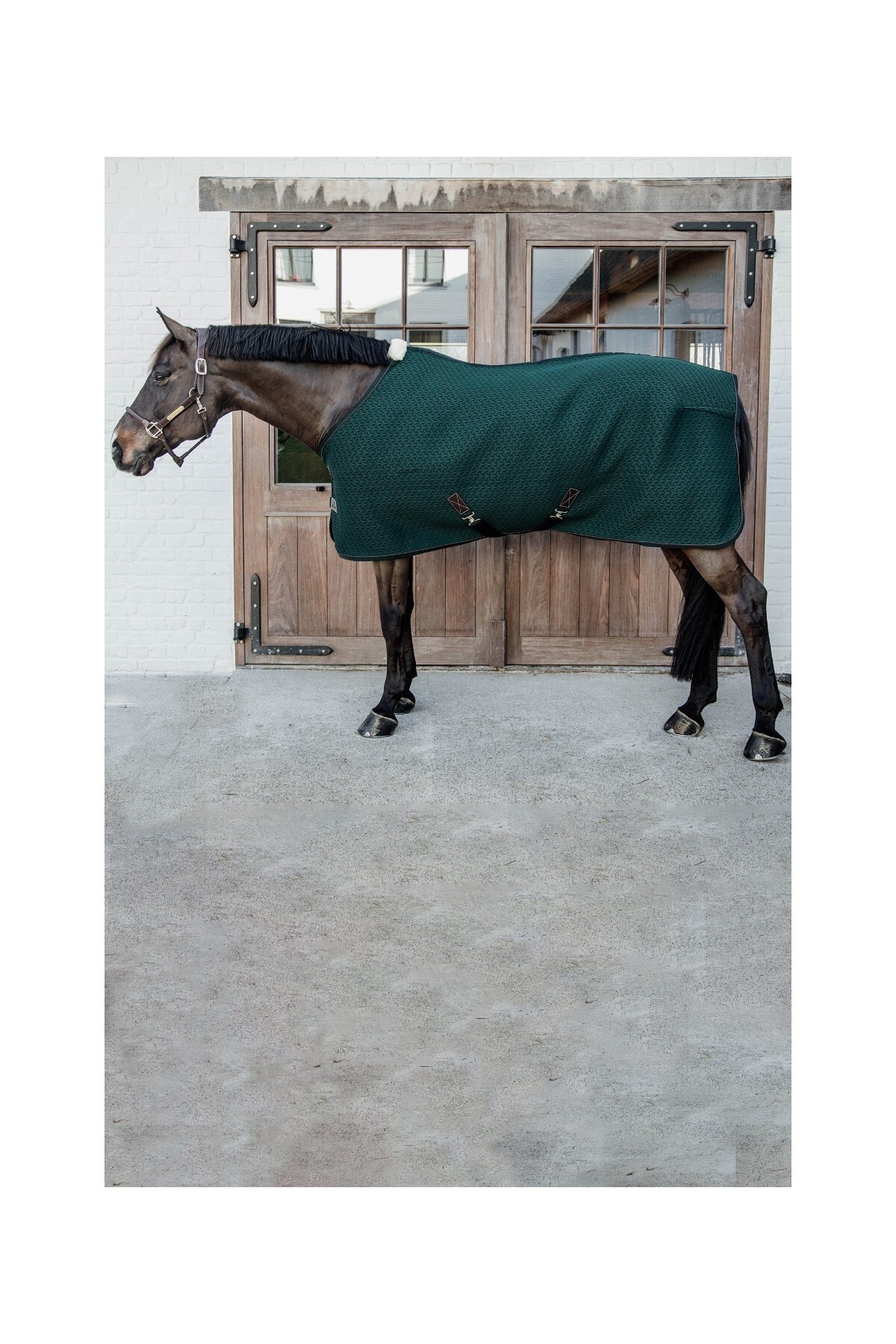 پتو کولر چندمنظوره اسب KENTUCKY HORSEWEAR مدل 4D Spacer — 2