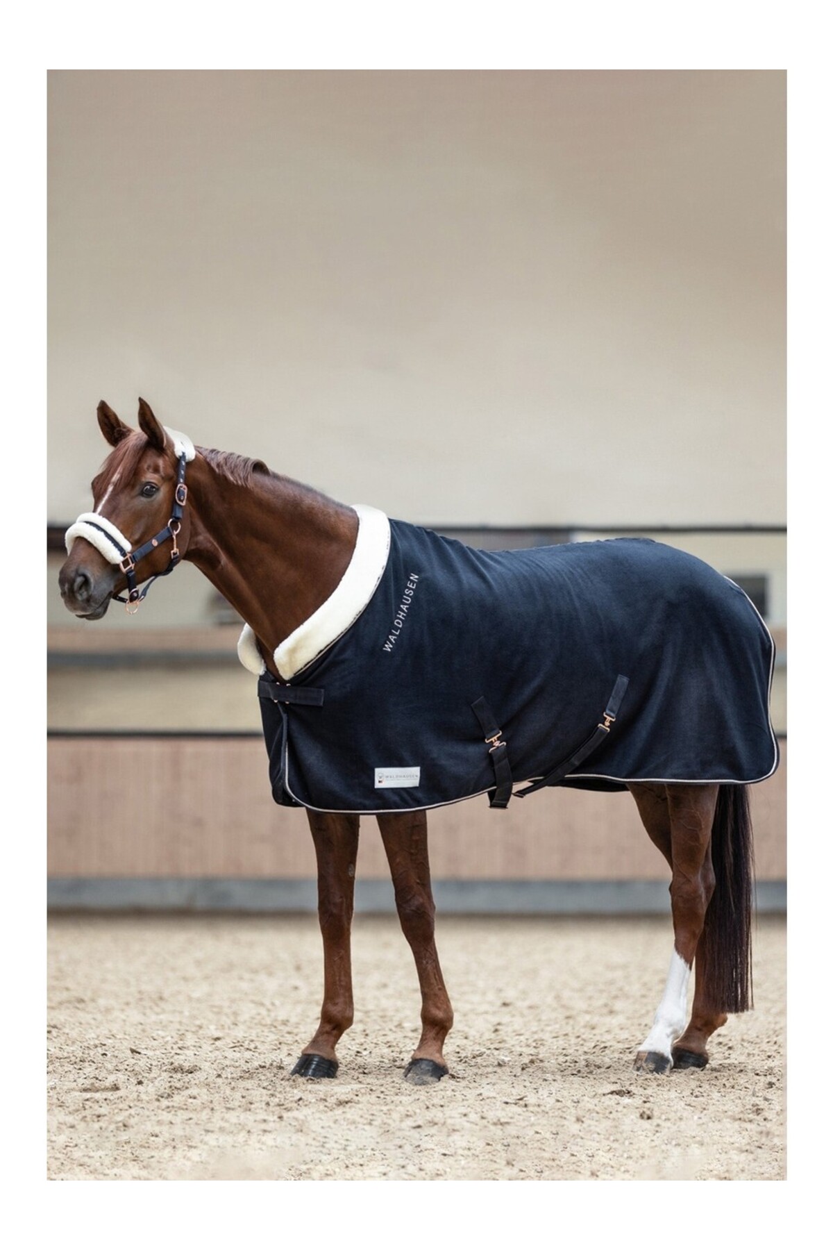 پتو کولر اسب Waldhausen مدل Rosé Modern Fleece Polar