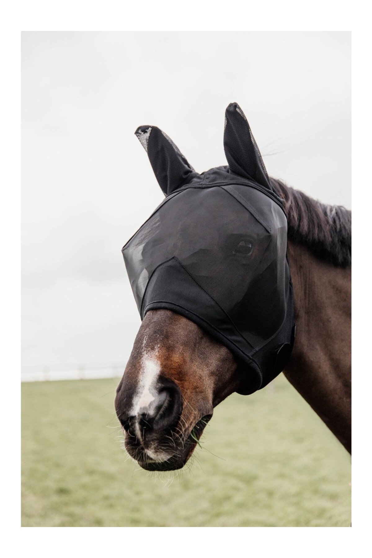 ماسک مگس اسب KENTUCKY HORSEWEAR Classic گوش‌دار