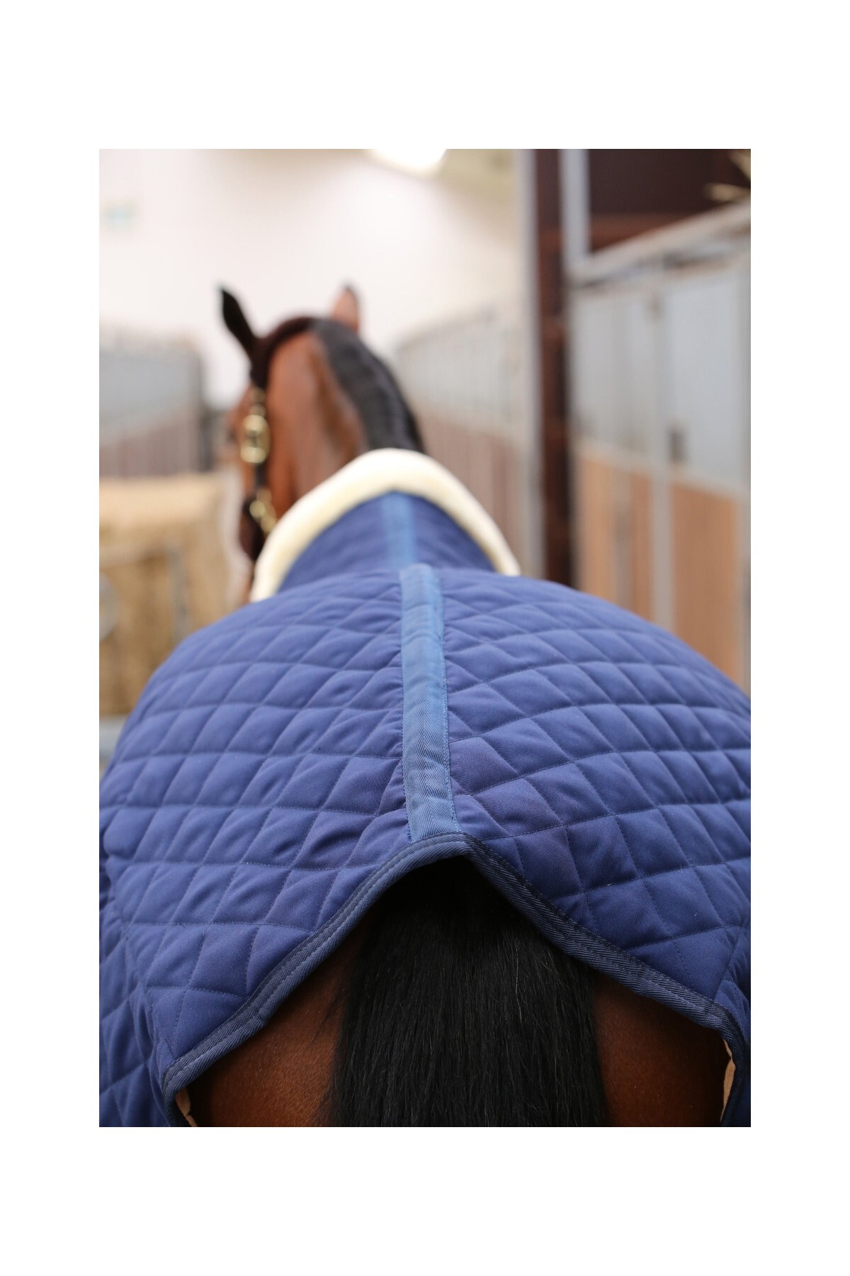 پتو اصطبل اسب KENTUCKY HORSEWEAR مدل Luxury 400G — 5