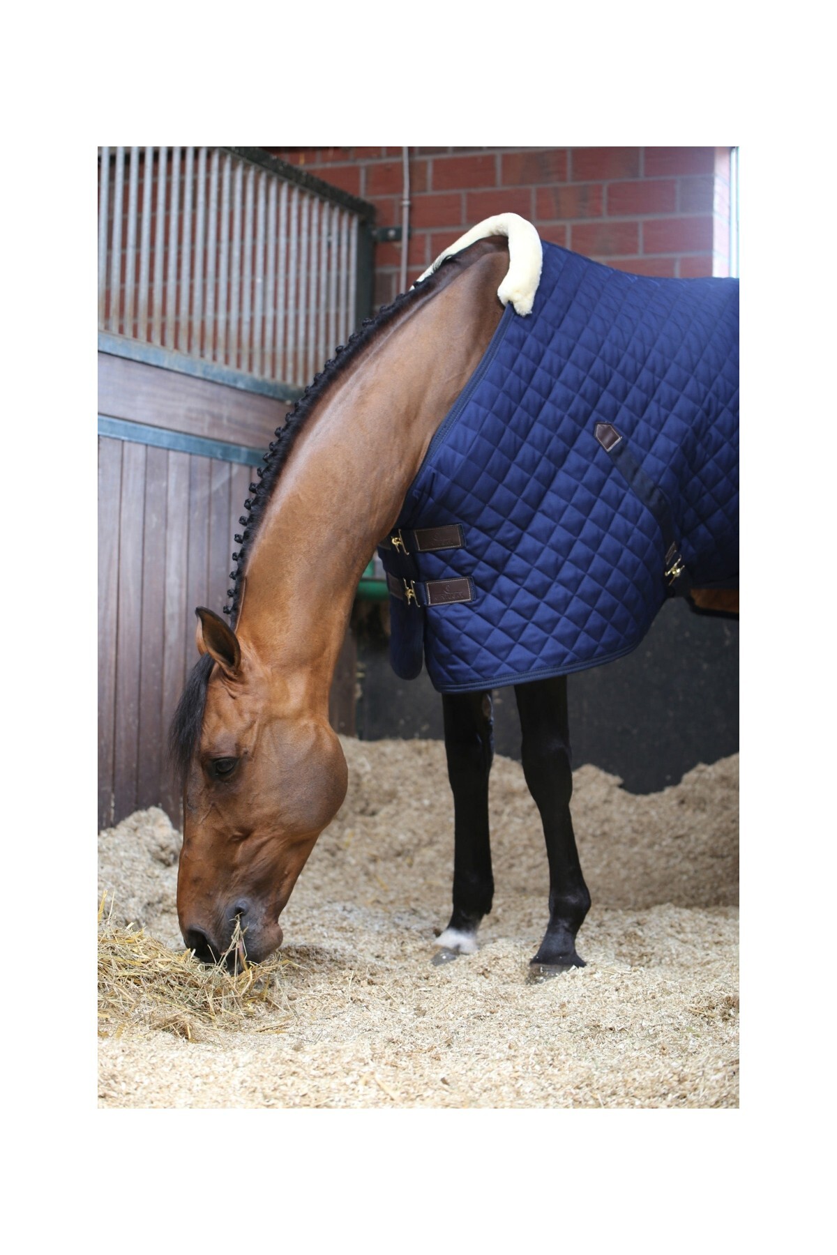 پتو اصطبل اسب KENTUCKY HORSEWEAR مدل Luxury 400G — 2