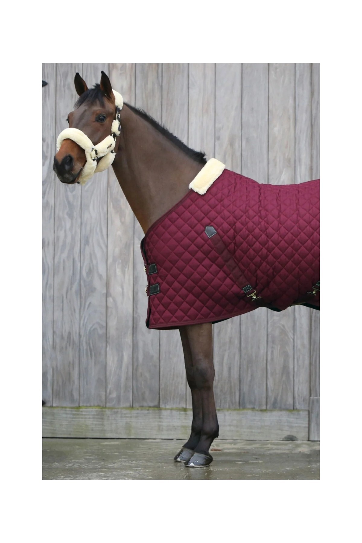 پتو اصطبل اسب KENTUCKY HORSEWEAR مدل 400G — 2