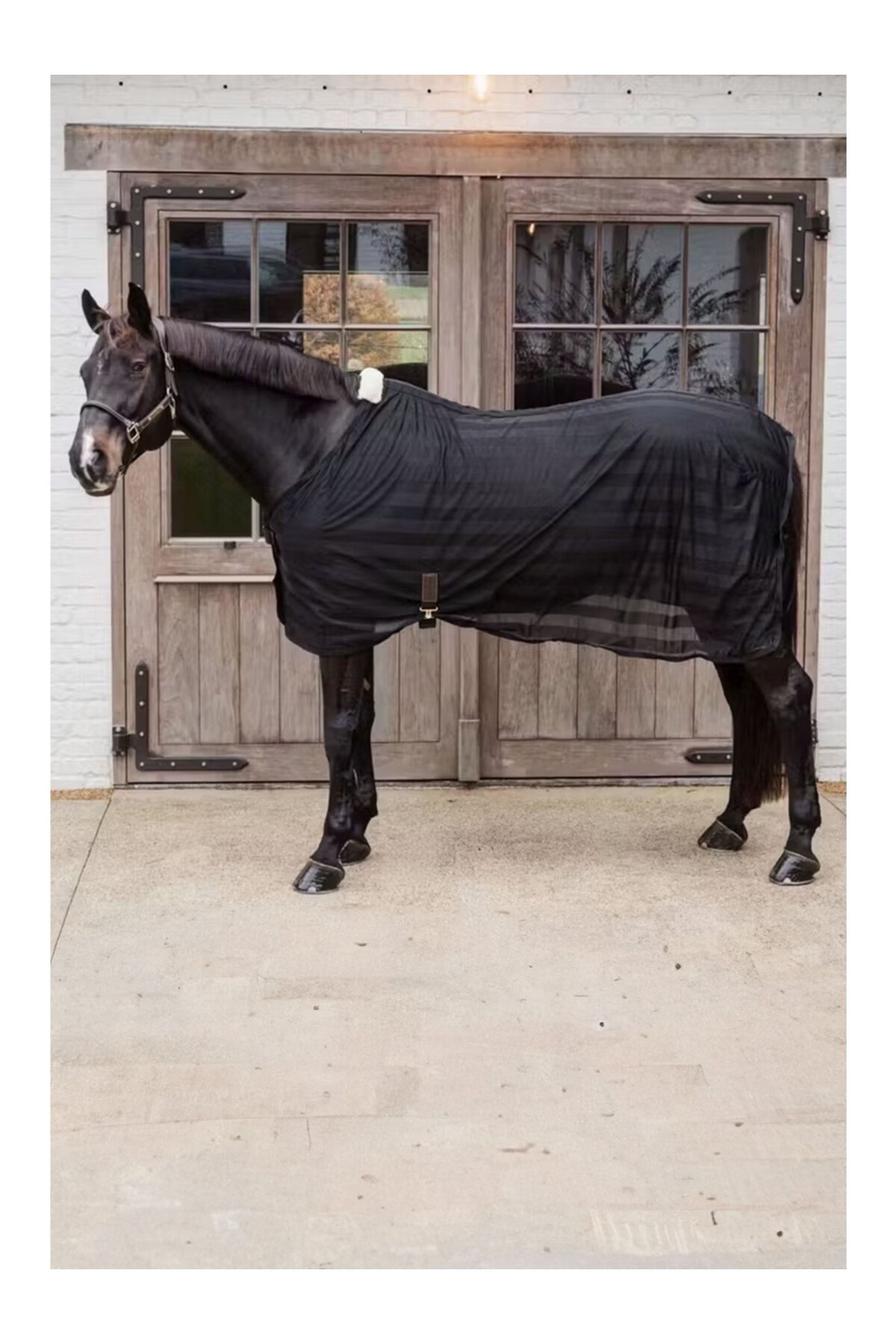 پتو ضد حشره Mesh سبک KENTUCKY HORSEWEAR — 2