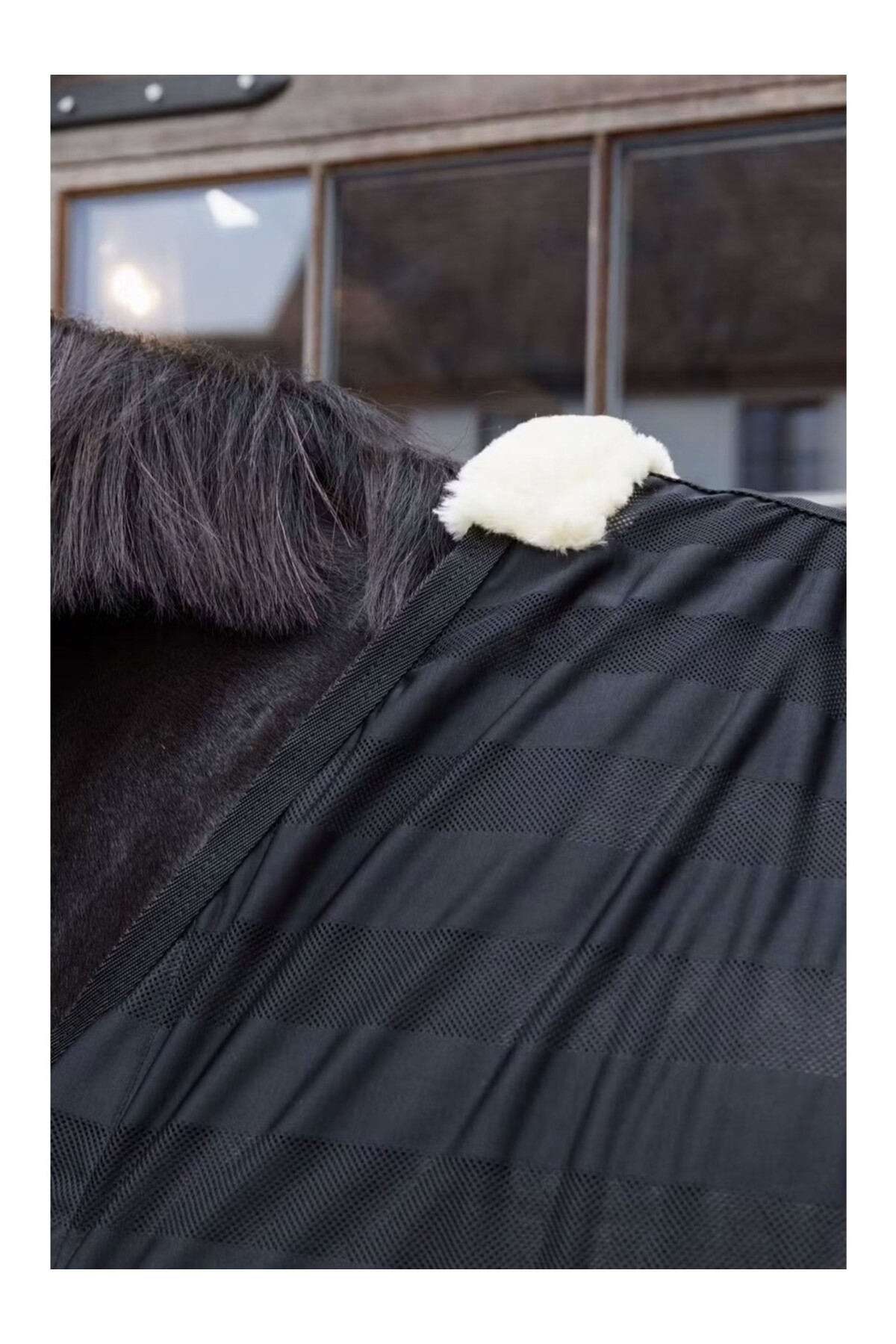 پتو ضد حشره Mesh سبک KENTUCKY HORSEWEAR — 5