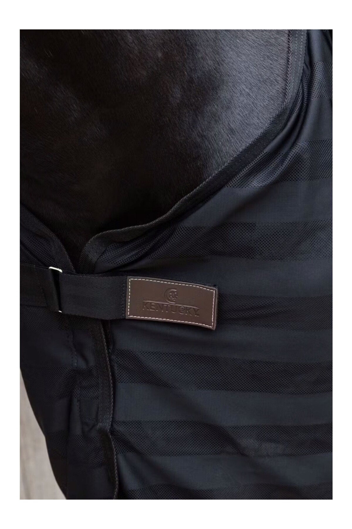پتو ضد حشره Mesh سبک KENTUCKY HORSEWEAR — 3