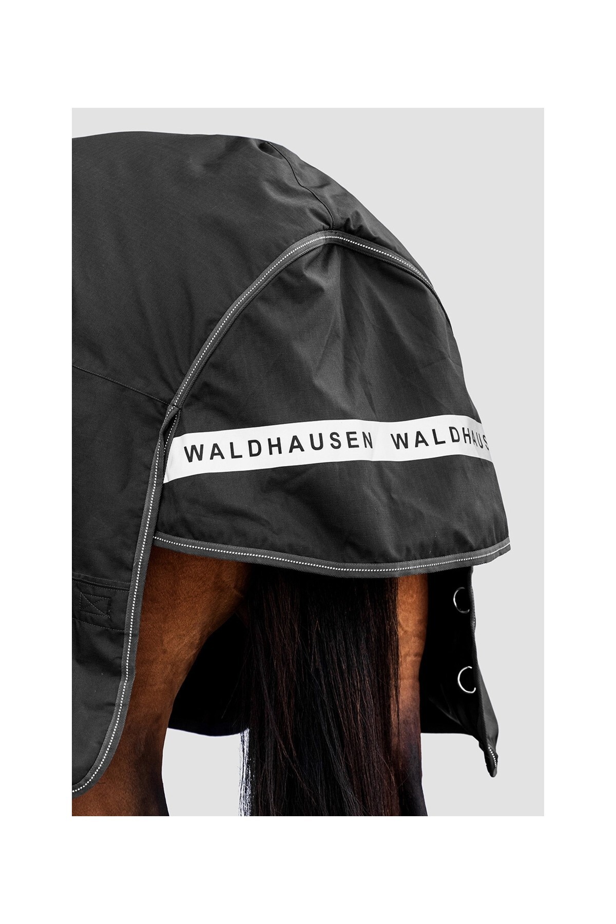 پتو Turnout فضای باز اسب Waldhausen Arctic — 5