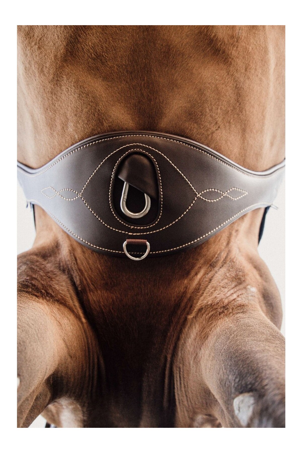 تنگ اسب آناتومیک KENTUCKY HORSEWEAR — 3
