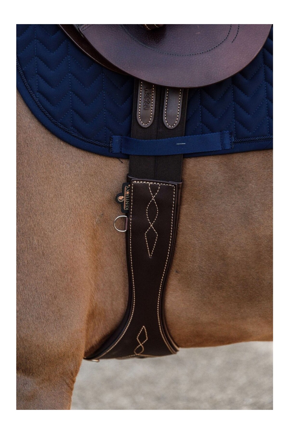 تنگ اسب آناتومیک KENTUCKY HORSEWEAR — 2