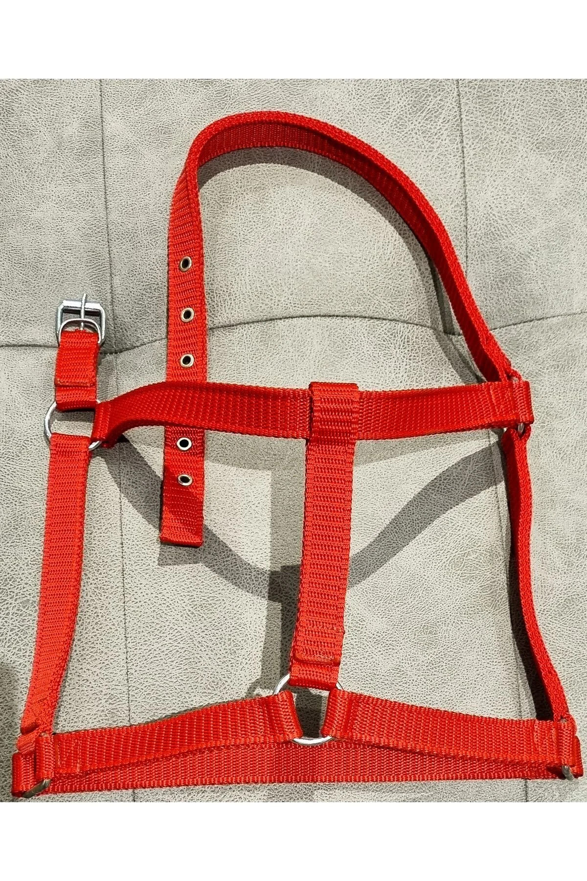 کله‌گی اسب YILPAX