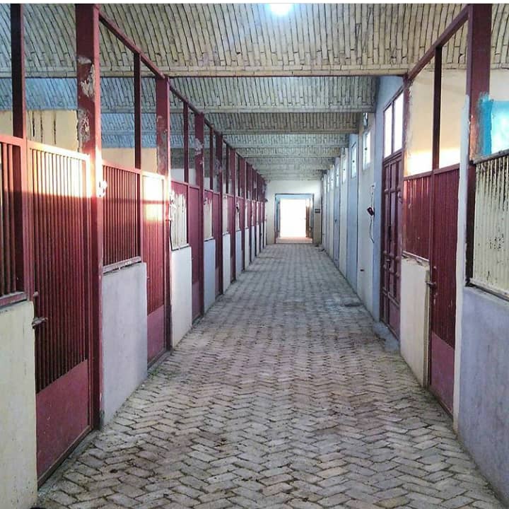 مجموعه سوارکاری طارق خان — باشگاه