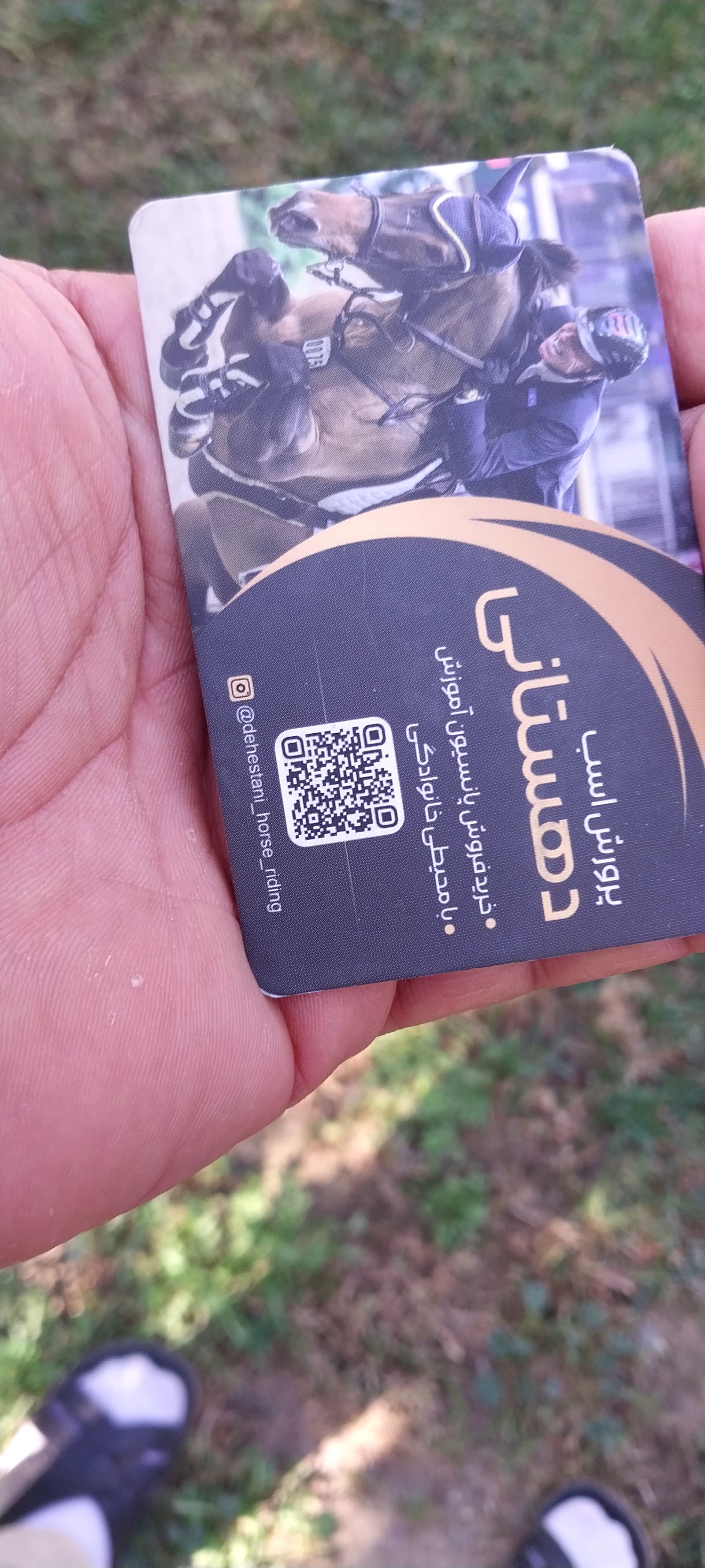 باشگاه سوارکاری دهستانی — باشگاه