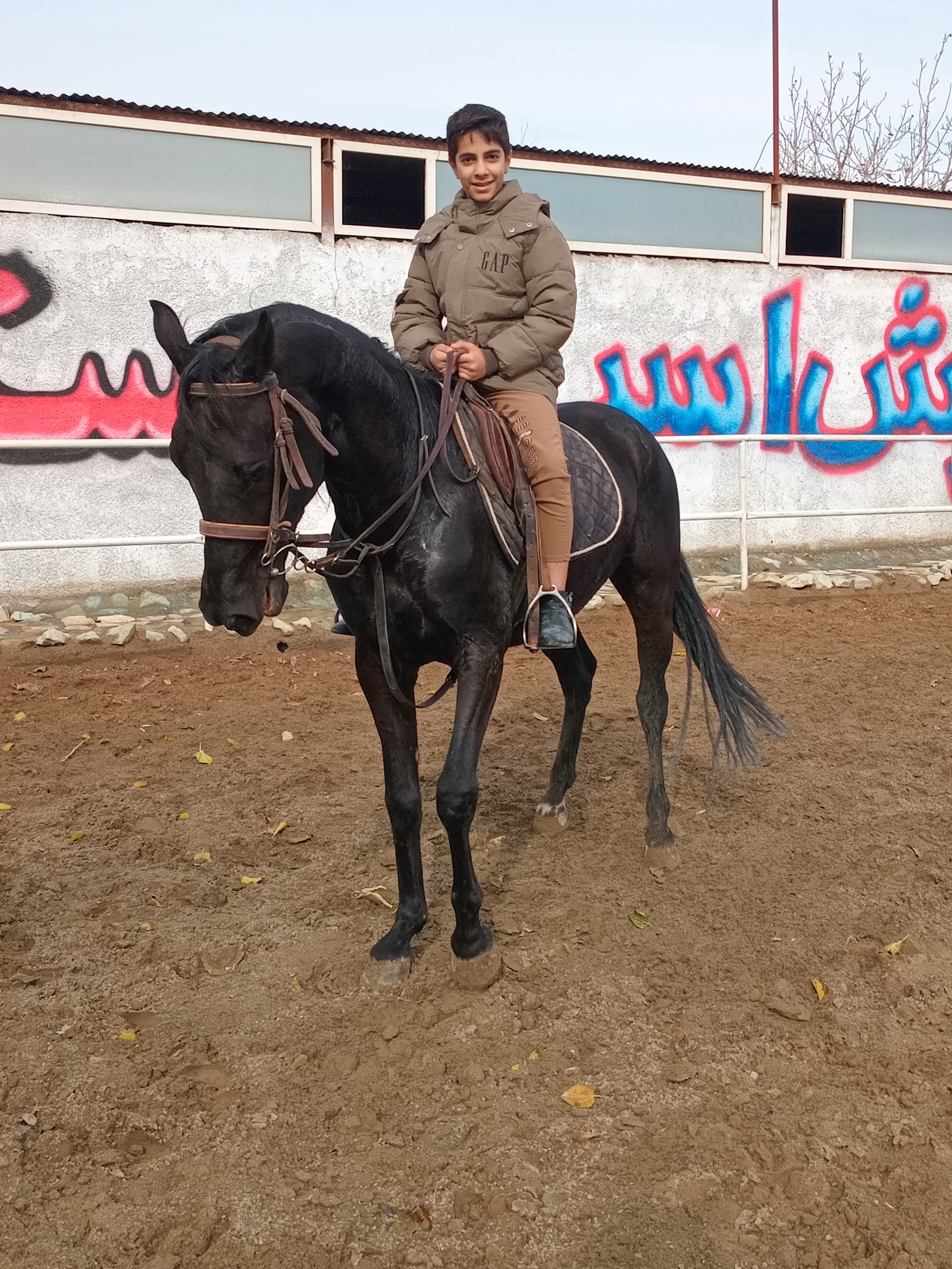 باشگاه سوارکاری دهستانی — باشگاه