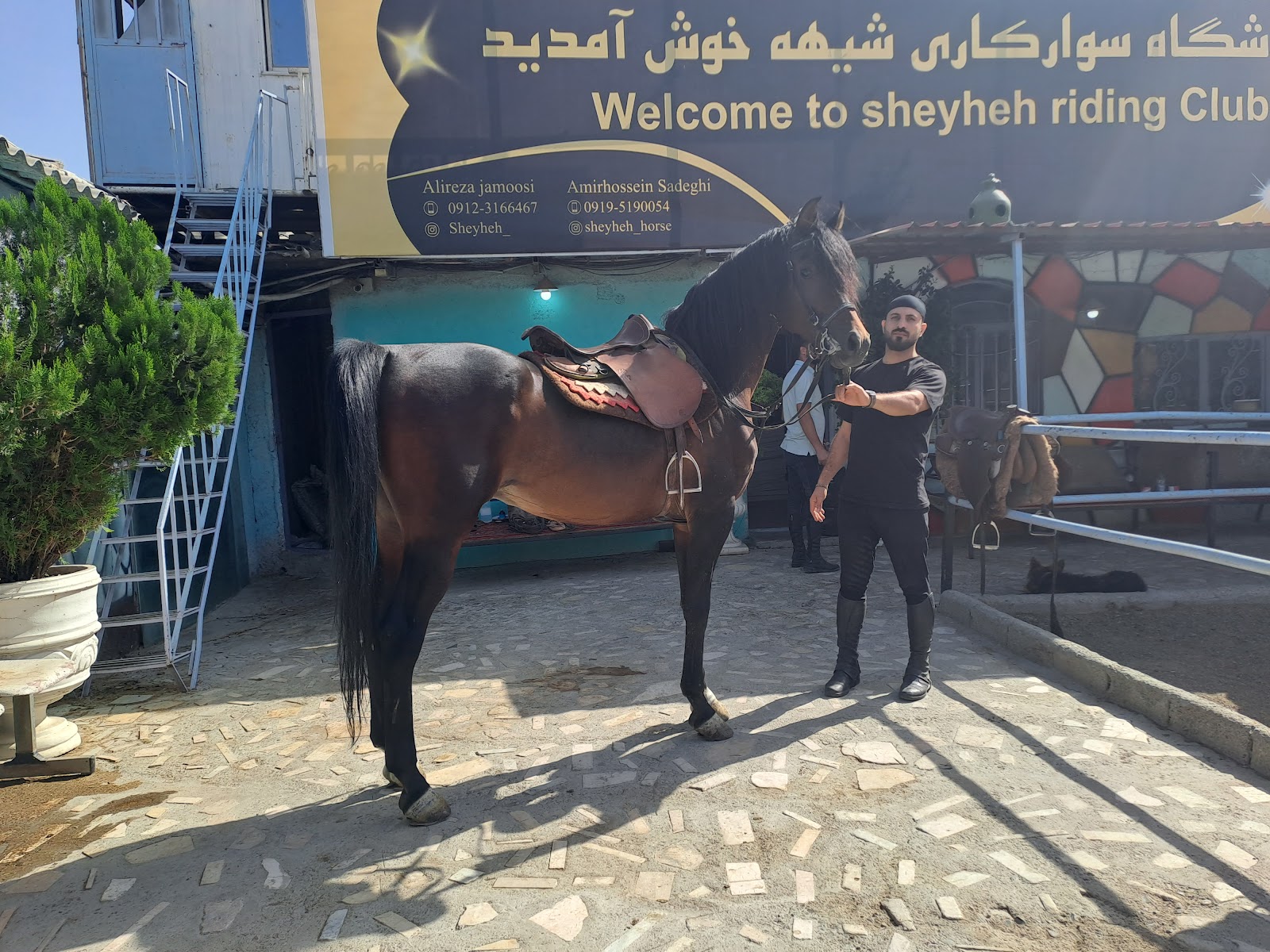 باشگاه سوارکاری شیهه — باشگاه