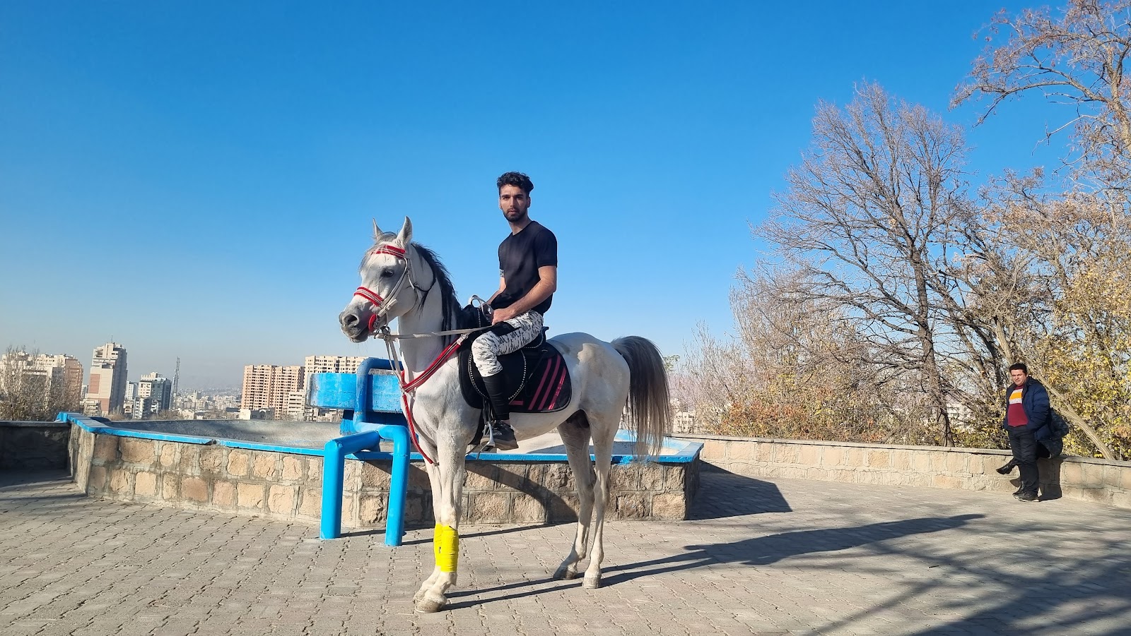باشگاه سوارکاری ائل گلی — باشگاه