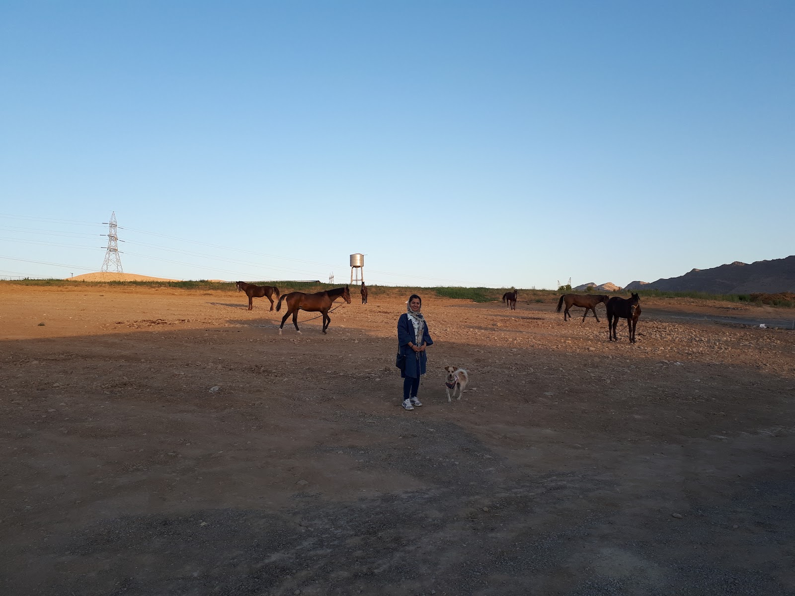آکادمی اسب آراسب — باشگاه