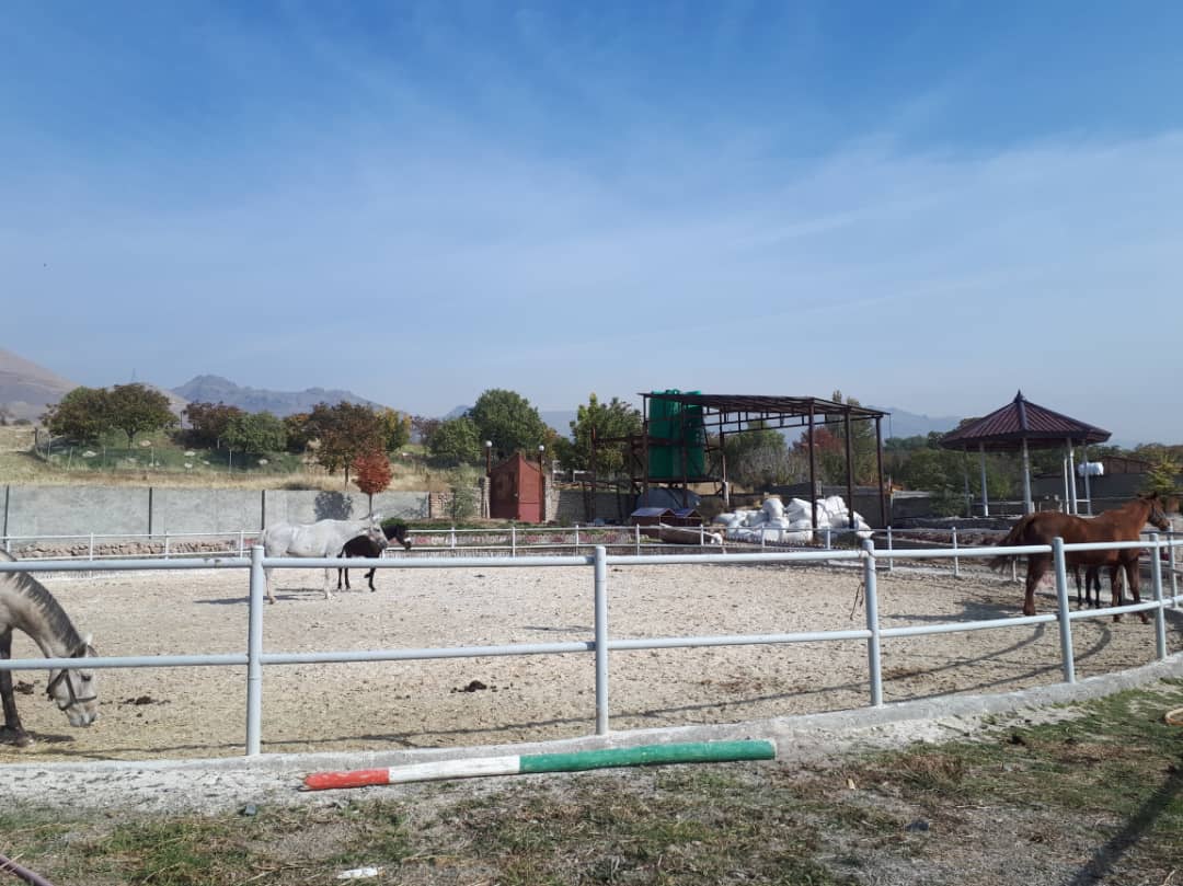 باشگاه سوارکاری کوهستان — باشگاه