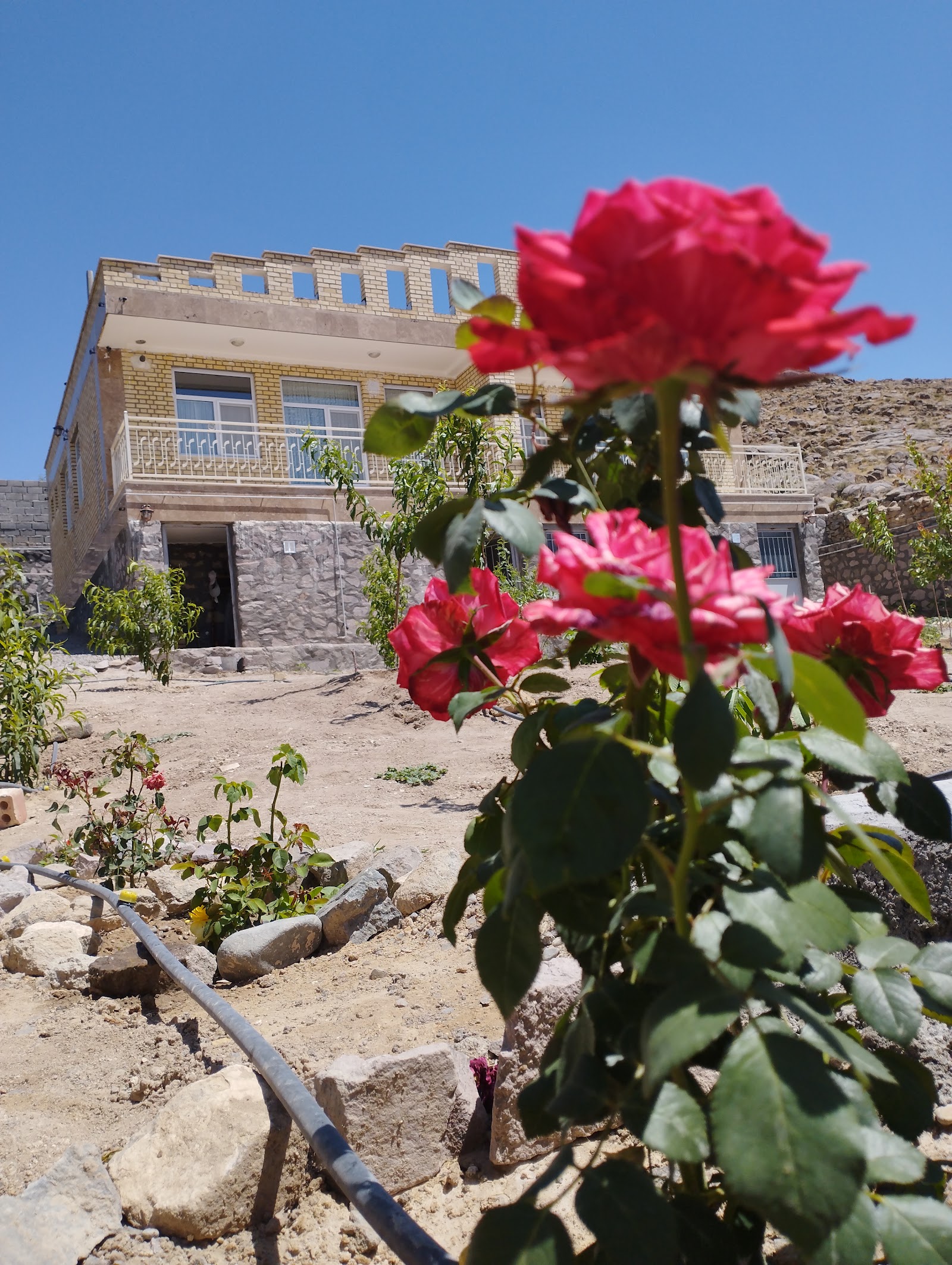باشگاه سوارکاری جوادیان — باشگاه
