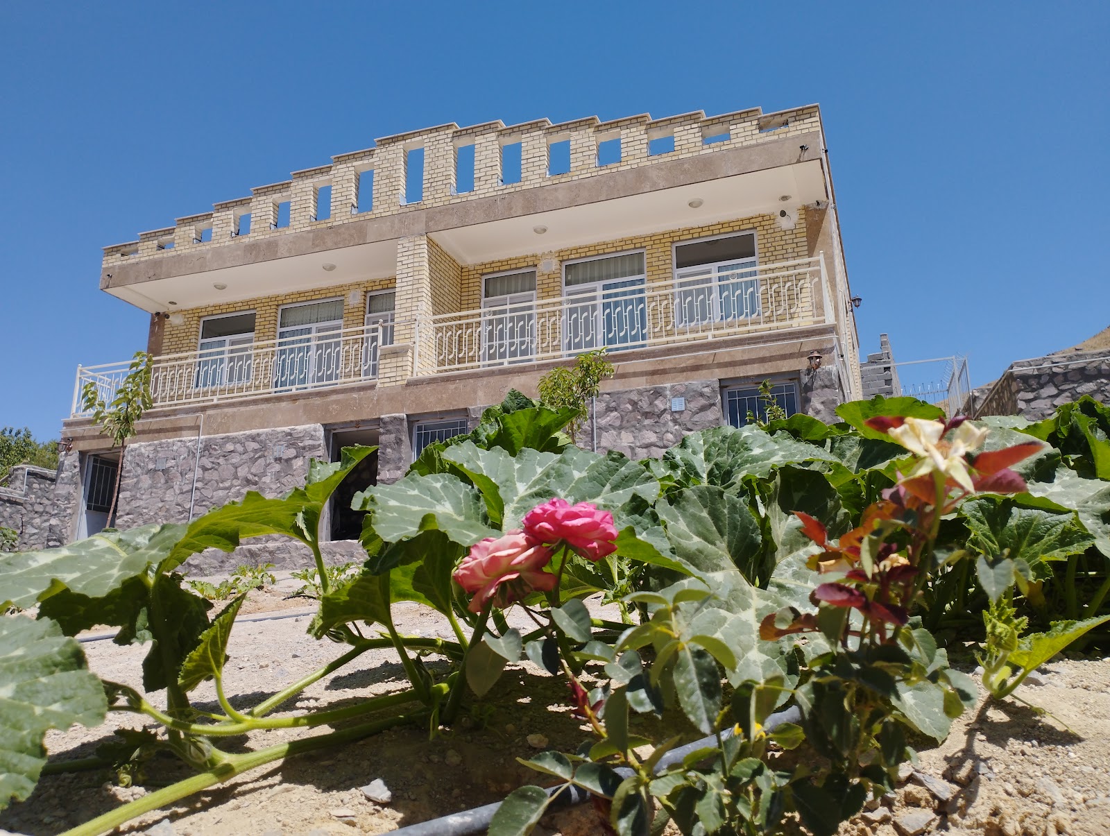 باشگاه سوارکاری جوادیان — باشگاه