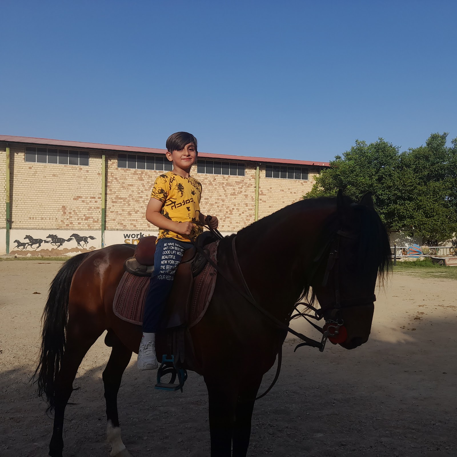 باشگاه سوارکاری فرحان — باشگاه