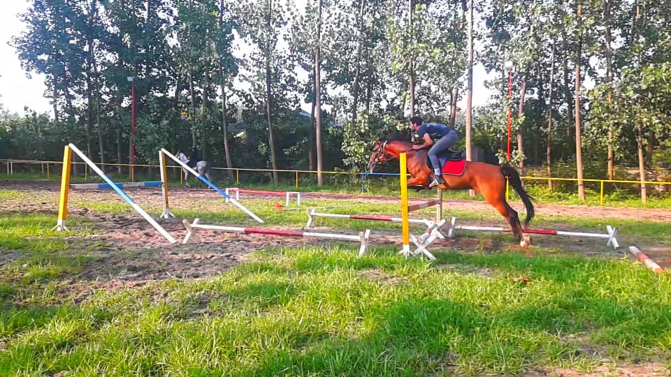 باشگاه سوارکاری سهند. SAHAND equestrian club — باشگاه