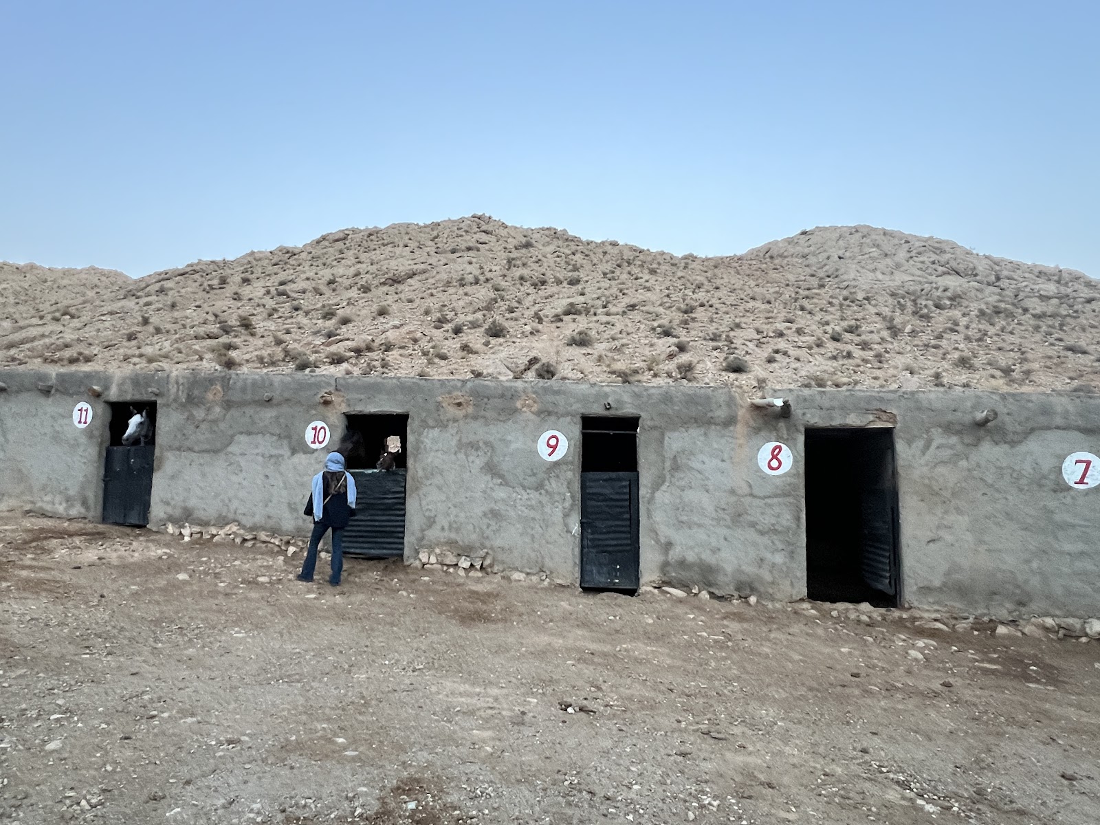 باشگاه سوارکاری هورس سنگسر — باشگاه