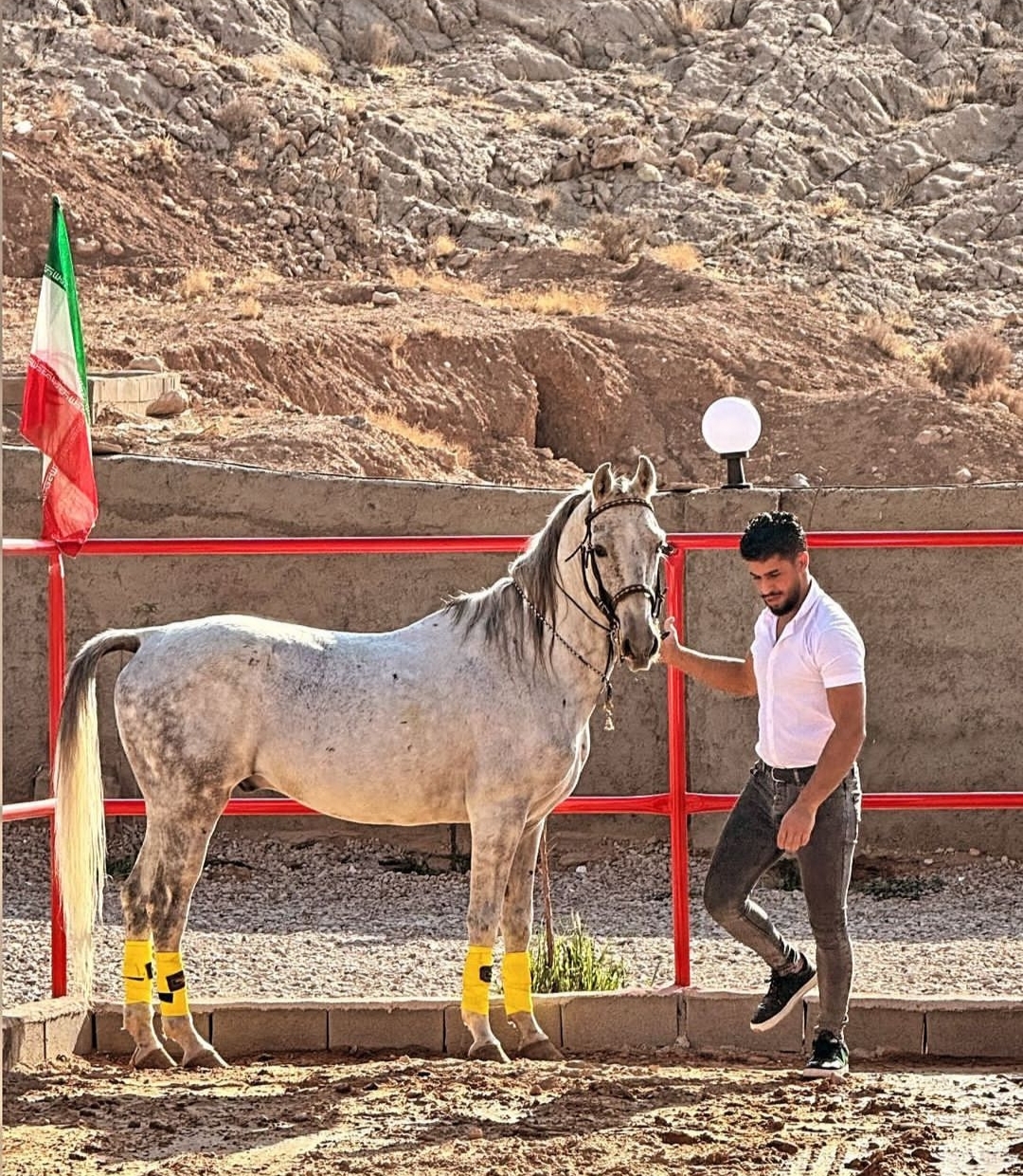 باشگاه سوارکاری هورس سنگسر — باشگاه