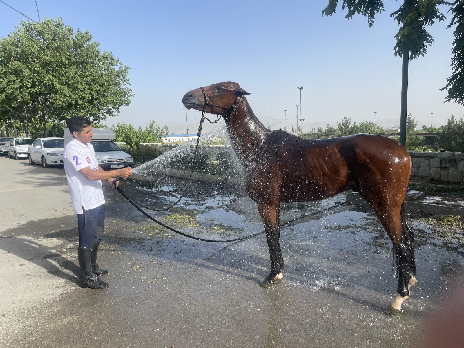 باشگاه سوارکاری ذوالجناح نزاجا — باشگاه