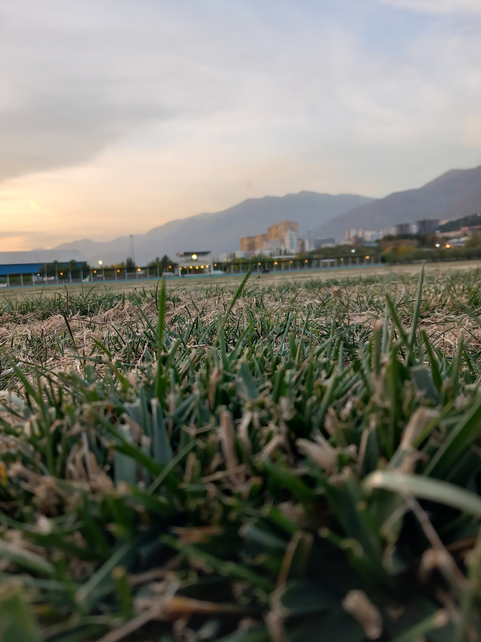 باشگاه سوارکاری ذوالجناح نزاجا — باشگاه