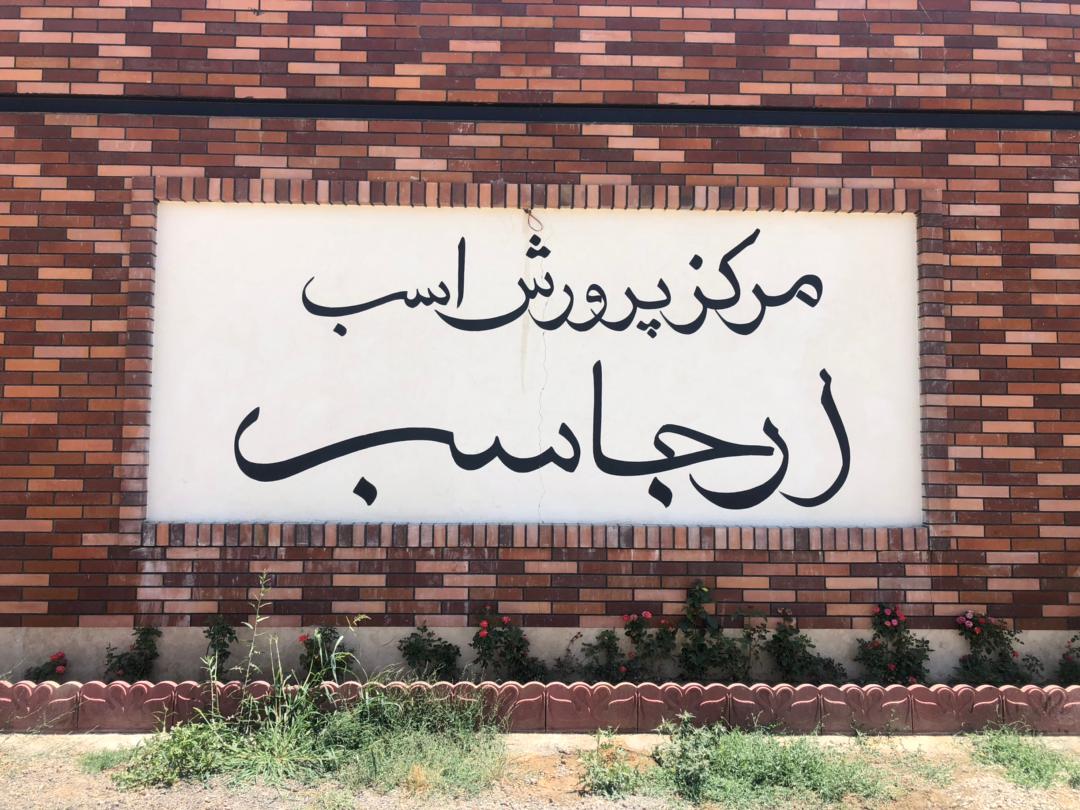 مرکز پرورش اسب ارجاسب — باشگاه