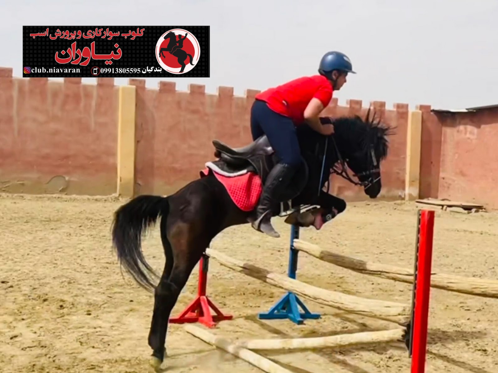 باشگاه سوارکاری نیاوران — باشگاه