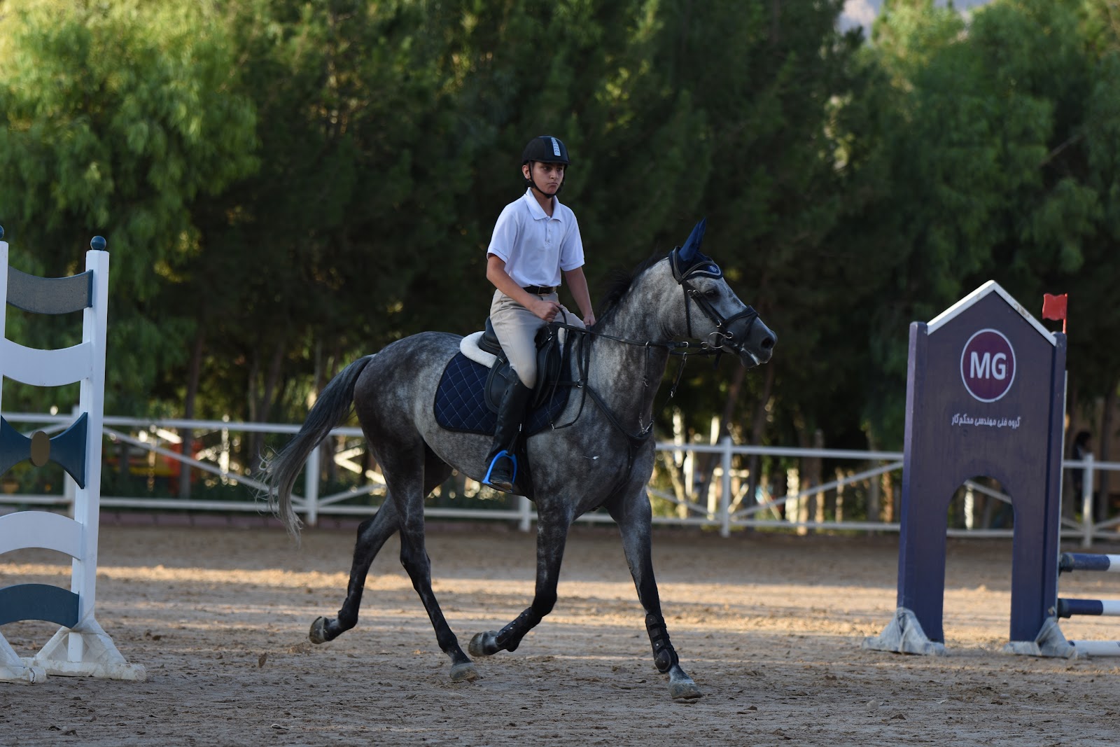 باشگاه سوارکاری نیاوران — باشگاه