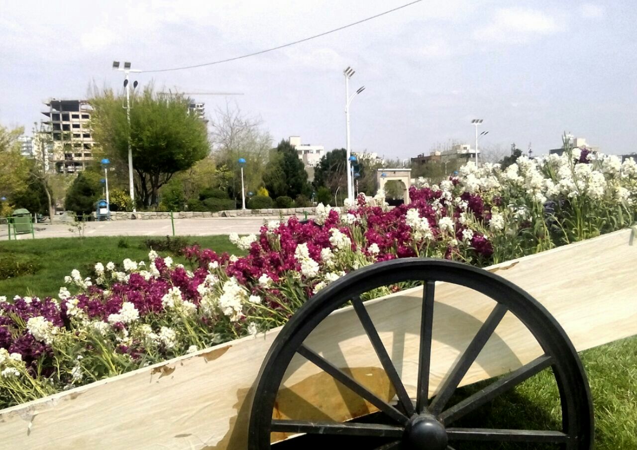 پیست کالسکه سواری — باشگاه