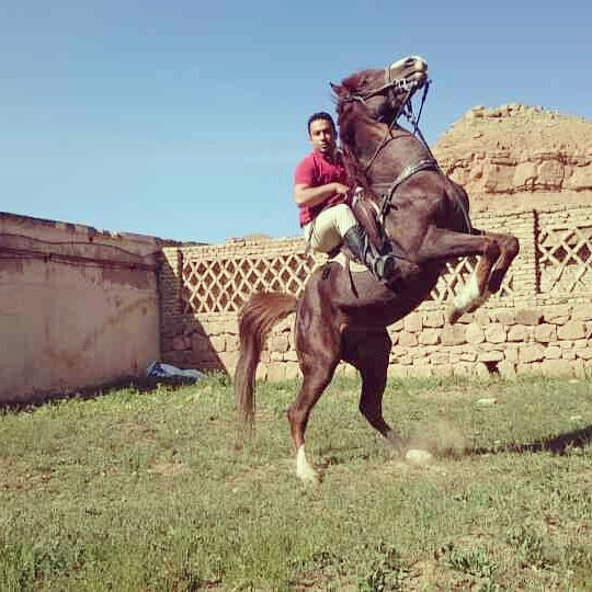باشگاه سوارکاری یاران — باشگاه