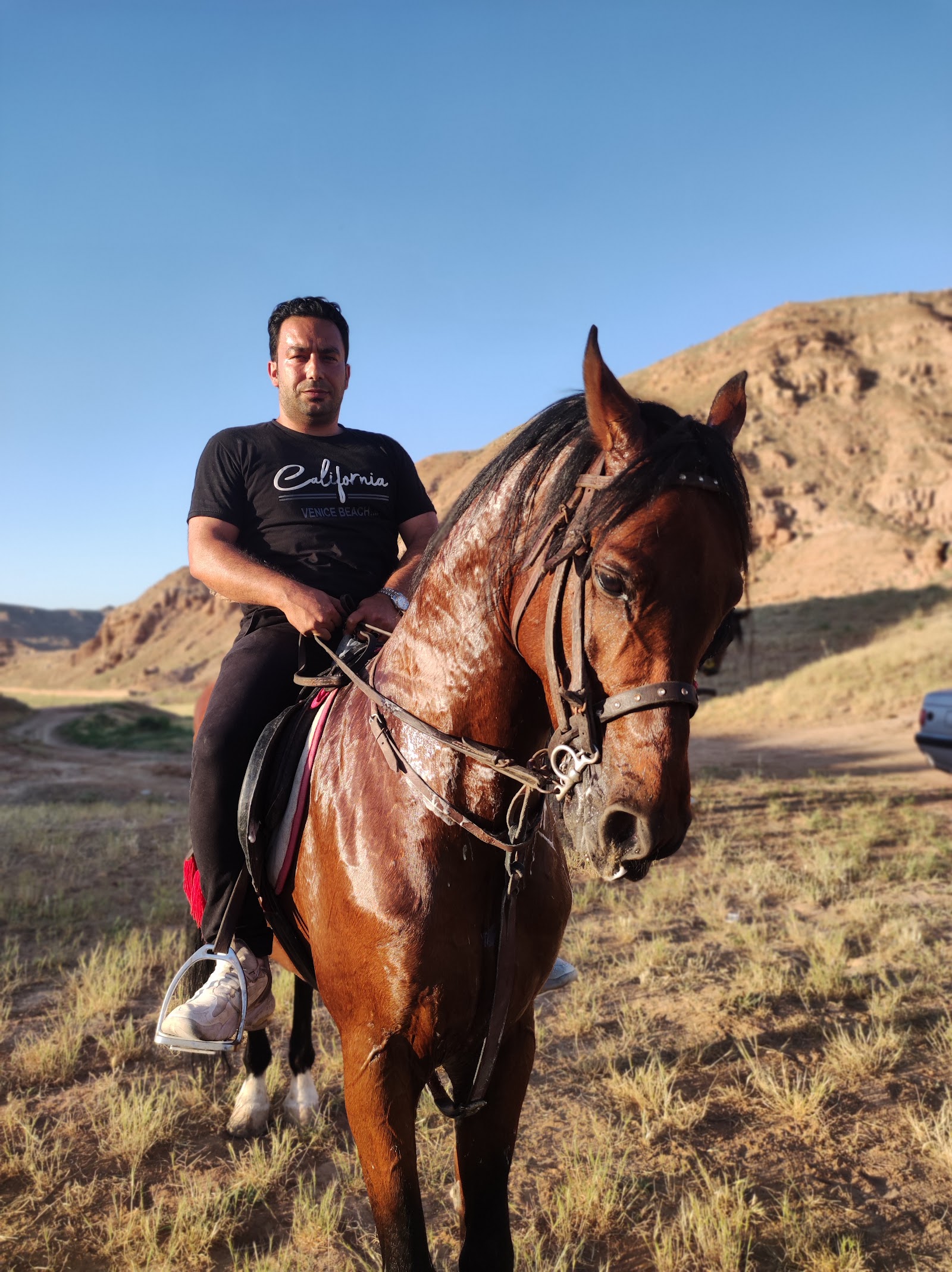 باشگاه سوارکاری یاران — باشگاه