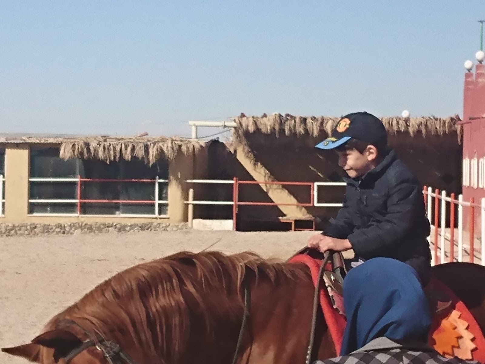 باشگاه سوارکاری پردیس — باشگاه