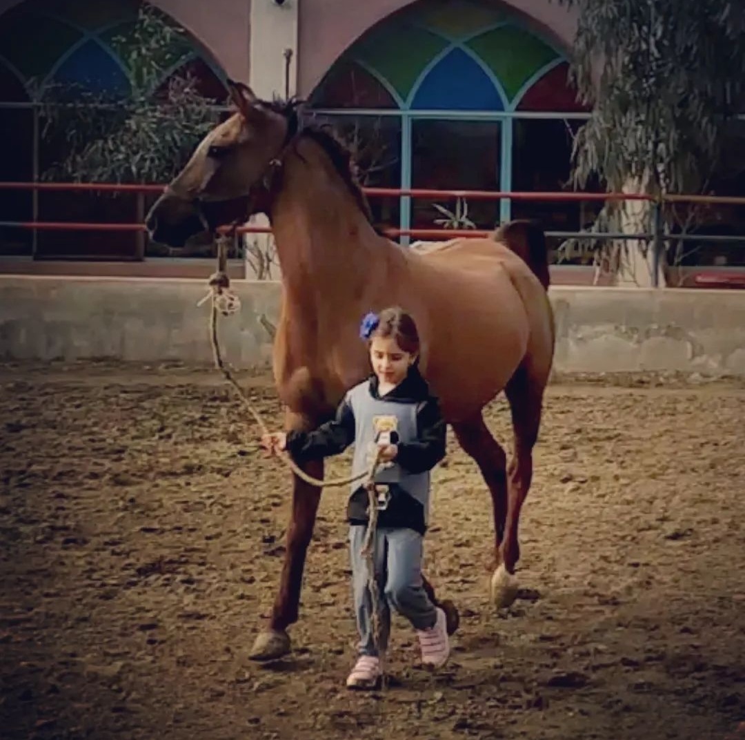 باشگاه سوارکاری سالار — باشگاه