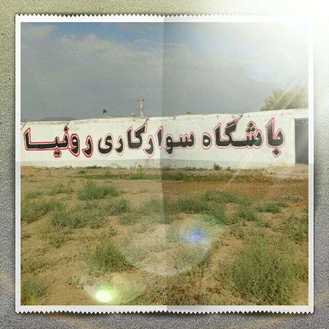 باشگاه سوارکاری رونیا — باشگاه
