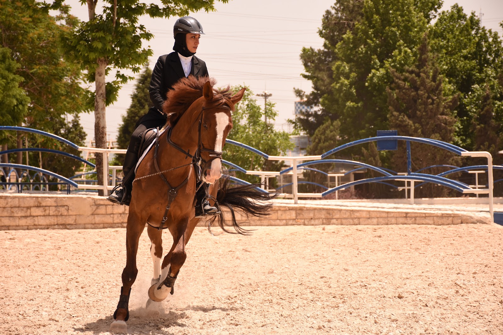 Farman’Ara Equestrian Club — باشگاه