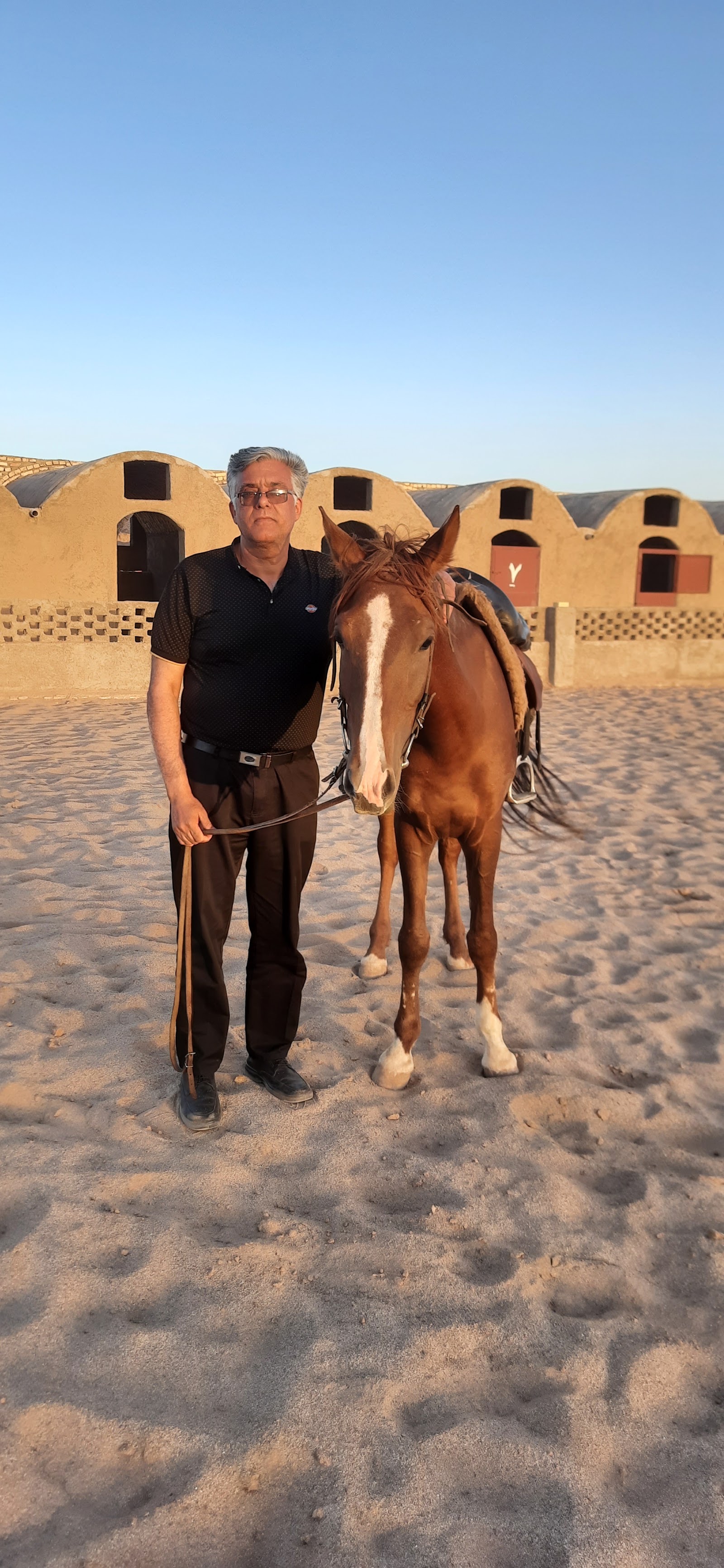 دهکده سوارکاری تندر یزد — باشگاه