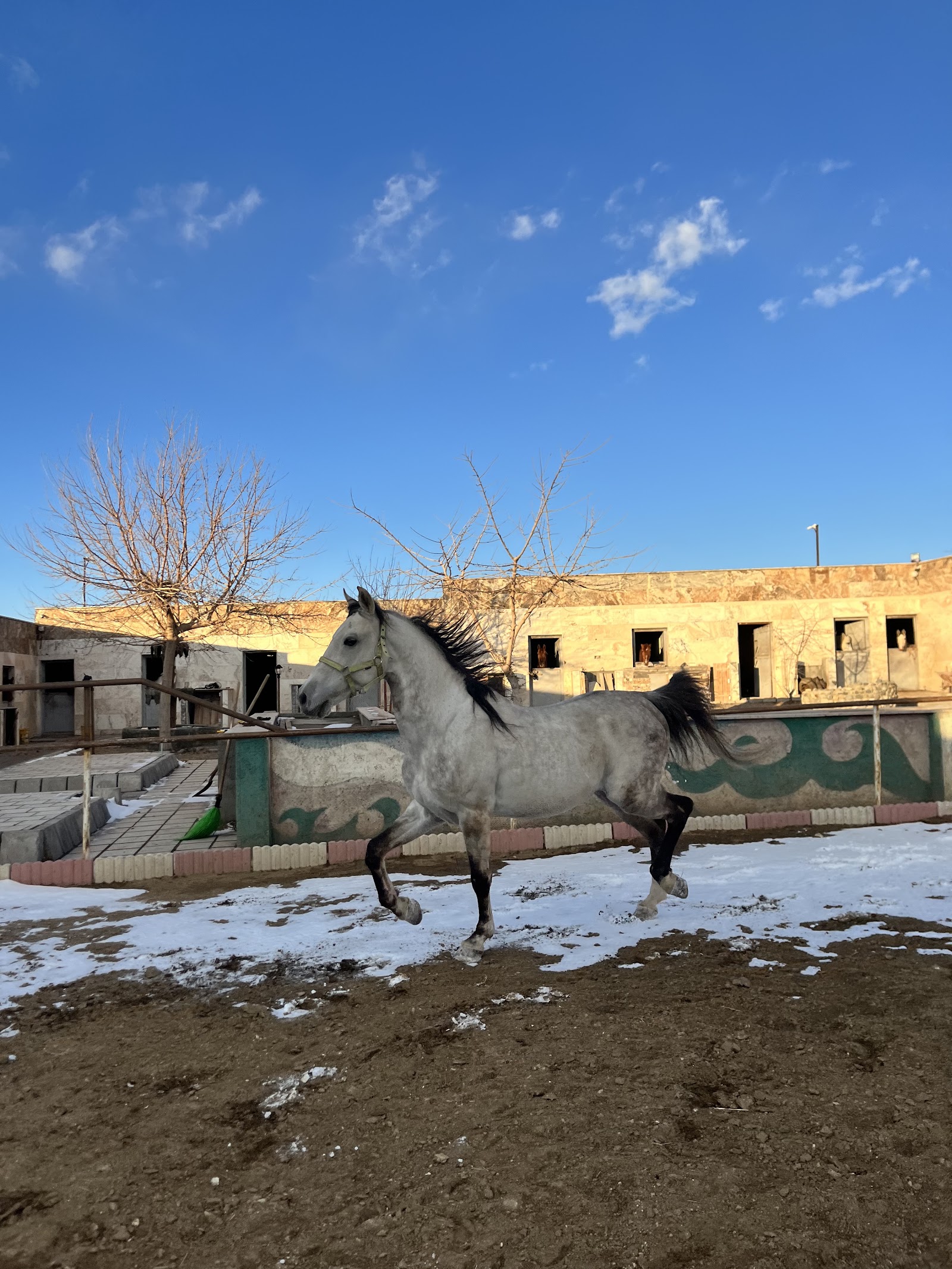 باشگاه سوارکاری کحیلان زنجان — باشگاه
