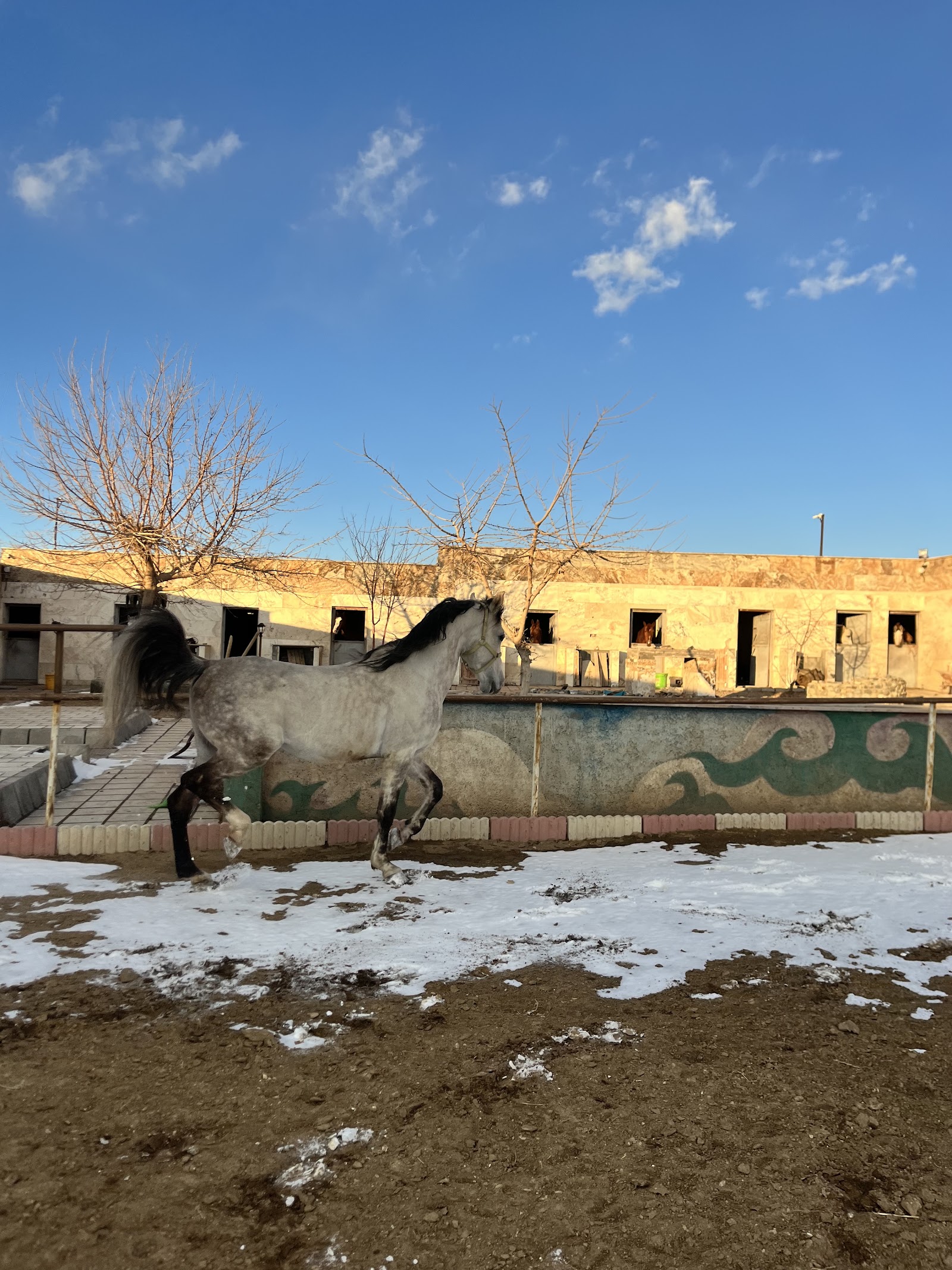 باشگاه سوارکاری کحیلان زنجان — باشگاه