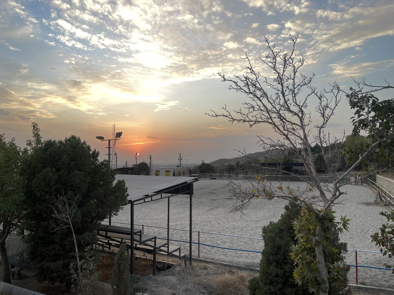 Alaleh horse riding club — باشگاه